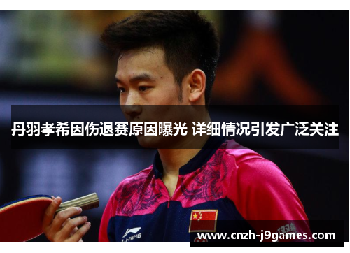 丹羽孝希因伤退赛原因曝光 详细情况引发广泛关注 丹羽孝希因伤退赛原因曝光 详细情况引发广泛关注