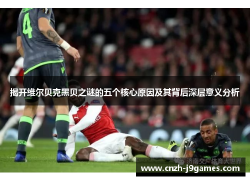 揭开维尔贝克黑贝之谜的五个核心原因及其背后深层意义分析 揭开维尔贝克黑贝之谜的五个核心原因及其背后深层意义分析