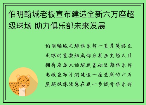 伯明翰城老板宣布建造全新六万座超级球场 助力俱乐部未来发展